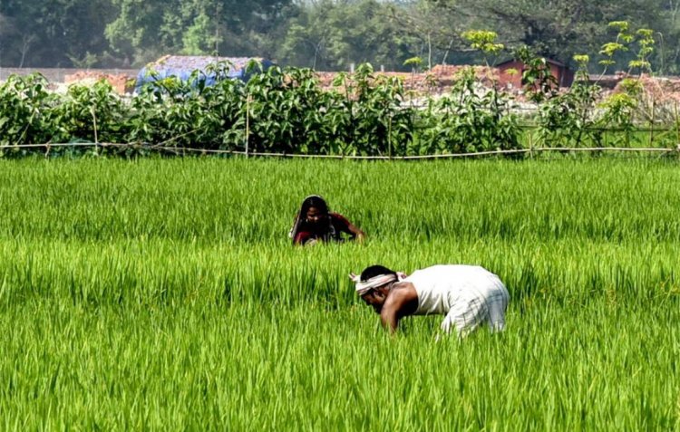 पीएम-आशा योजना जारी रखने को मंजूरी,  पीएसएस और पीएसएफ भी इसमें शामिल