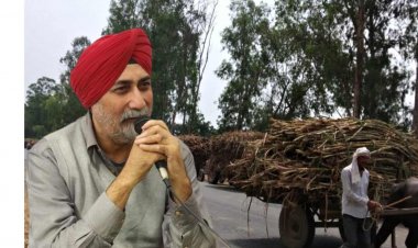 चीनी मिलों पर गन्ना किसानों के चार साल का ब्याज 2889  करोड़ रुपए से अधिक बकाया