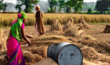 पीएम-आरकेवीवाई और कृषोन्नति योजना को कैबिनेट की मंजूरी, एक लाख करोड़ से अधिक बजट