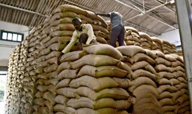 पंजाब के गोदामों से 40 लाख टन चावल शिफ्ट करेगा एफसीआई, मिलर्स की हड़ताल जारी