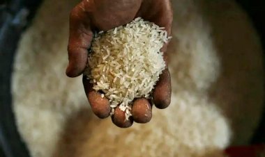 केंद्रीय मंत्रिमंडल ने 2028 तक फोर्टिफाइड  चावल की आपूर्ति को मंजूरी दी
