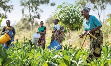ग्लोबल हंगर इंडेक्स में भारत 127 देशों में 105वें स्थान पर, नेपाल और बांग्लादेश से पीछे