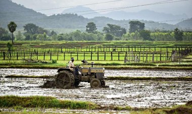 महाराष्ट्र में कृषक परिवारों के पास सबसे अधिक जमीन, लीज पर जमीन लेने में मेघालय आगे