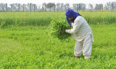 भारत में कृषि क्षेत्र के लिए सार्वजनिक-निजी भागीदारी की तत्काल आवश्यकता