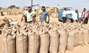 छत्तीसगढ़ में 14 नवंबर से शुरू होगी धान की सरकारी खरीद, 160 लाख टन खरीद का लक्ष्य