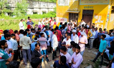 इस साल क्यों हुई डीएपी की किल्लत?  पूरे रबी सीजन संकट बने रहने के आसार