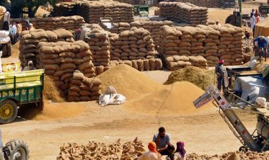 धान खरीद में दिक्कतों के लिए एसकेएम ने केंद्र सरकार को जिम्मेदार ठहराया