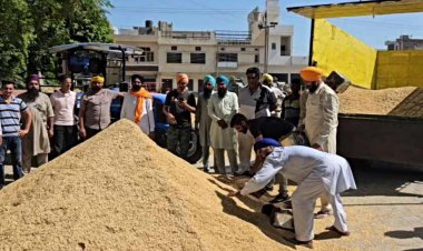 पंजाब में धान की धीमी खरीद के लिए कृषि मंत्री ने केंद्र को जिम्मेदार ठहराया, मिलर्स का धान उठान से इंकार