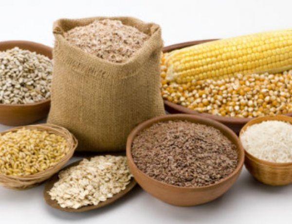 FAO रिपोर्ट: 2025-26 में गेहूं, चावल और मोटे अनाज का वैश्विक उत्पादन रिकॉर्ड स्तर पर