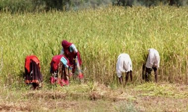 ‘किसान प्रथम’ नीति ही होगी कृषि क्षेत्र में ट्रेड डील का आधार