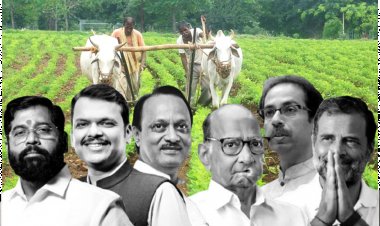 कितनी असरदार होगी महाराष्ट्र चुनाव में किसानों के मुद्दों की गूंज