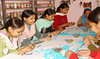 हरियाणा में महिलाओं को उद्यमिता के लिए मिलेगी 7 फीसदी ब्याज सब्सिडी