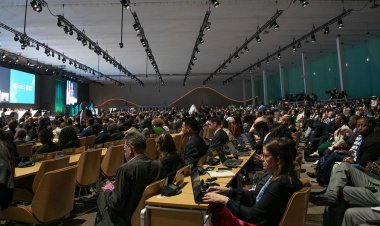 COP29: सालाना 300 अरब डॉलर फाइनेंसिंग के साथ सम्मेलन खत्म, विकासशील देशों ने इसे ‘अपमान’ करार दिया