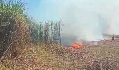 खेतों में गन्ने की पत्ती जलाने पर लगेगा जुर्माना, बंद हो सकती है पर्ची