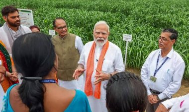 राष्ट्रीय प्राकृतिक खेती मिशन को कैबिनेट की मंजूरी, जानिए किसानों तक कैसे पहुंचेगी योजना