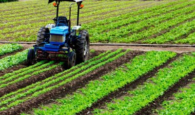 कृषि के सहारे 5% के पार गई विकास दर, मैन्युफैक्चरिंग-खनन के खराब प्रदर्शन से जीडीपी ग्रोथ 7 तिमाही में सबसे कम