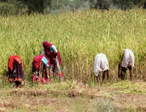 ‘किसान प्रथम’ नीति ही होगी कृषि क्षेत्र में ट्रेड डील का आधार