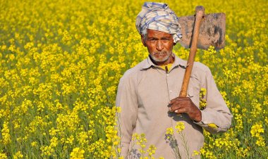 बिना कोलैटरल वाले कृषि कर्ज की सीमा 1.6 लाख से बढ़ कर 2 लाख रुपये हुई
