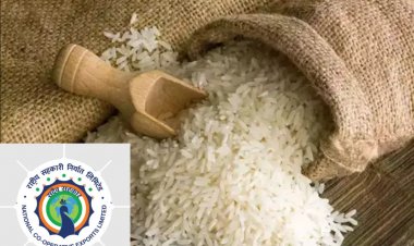 इंडोनेशिया को 10 लाख टन चावल निर्यात को कैबिनेट की मंजूरी, खुले बाजार से होगी खरीद