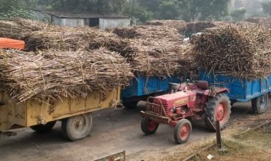 दिसंबर तक देश का चीनी उत्पादन 16 फीसदी घटा, रिकवरी घटकर 8.69 फीसदी