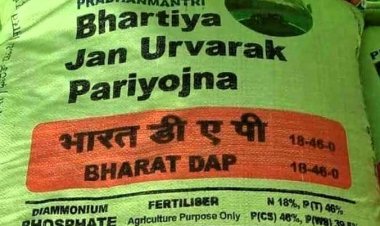 अंतरराष्ट्रीय बाजार में डीएपी की कीमत 720 डॉलर तक पहुंची, सरकार पर बढ़ेगा सब्सिडी का बोझ