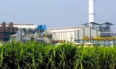 चीनी उद्योग रिकवरी में गिरावट से चिंतित, यूपी के मुख्य सचिव को लिखा पत्र