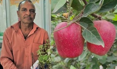 पद्मश्री किसान: “एप्पल मैन ऑफ इंडिया” ने विकसित की सेब की अनूठी किस्म