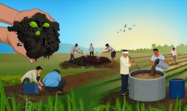 प्राकृतिक खेती पर खूब जोर, लेकिन बजट कम और वास्तविक खर्च उससे भी कम