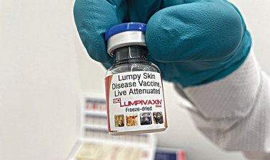पहले स्वदेशी लंपी वैक्सीन को मिली मंजूरी, वेटरनरी क्षेत्र में बड़ी उपलब्धि