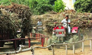 यूपी सरकार ने नहीं बढ़ाया गन्ने का दाम, 370 रुपये ही रहेगा एसएपी, किसानों को बड़ा झटका