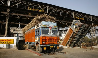 चीनी उत्पादन में 14% की गिरावट, अब तक 186 चीनी मिलों में पेराई बंद