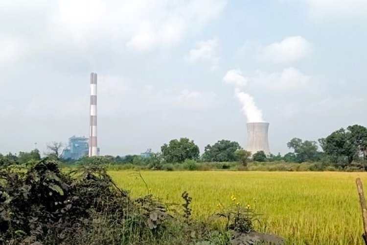 Wild Rice Pollution pollution from coal fired plants reduces wheat and rice yields in india ...