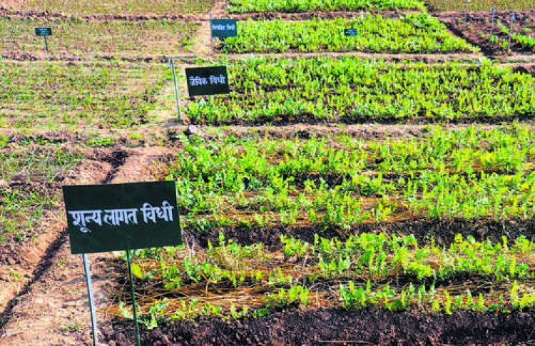 अमेरिकी टैरिफ पर बातचीत की प्रक्रिया फिर शुरू, क्या टैरिफ भारतीय कृषि में बदलाव लाएंगे?