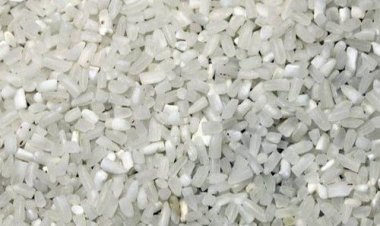 भारत सरकार ने 100% टूटे चावल के निर्यात पर प्रतिबंध हटाया