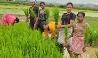 महिला दिवस विशेषः दो साल में आर्य.एजी में महिला नेतृत्व वाले एफपीओ की संख्या 128% बढ़ी