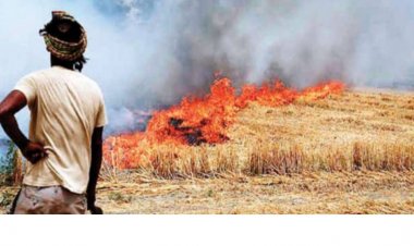 पराली जलाने पर किसानों के भूमि रिकॉर्ड में 15 महीने की ‘रेड एंट्री’ का प्रस्ताव, यूपी में प्रदूषण नियंत्रण योजना की समीक्षा