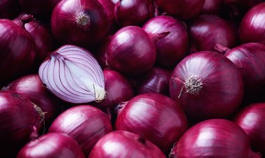 केंद्र सरकार ने प्याज निर्यात पर 20 फीसदी शुल्क हटाया, किसानों को राहत