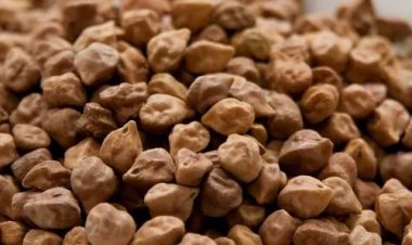 भारत सरकार ने 1 अप्रैल से चने के आयात पर 10% शुल्क लगाया