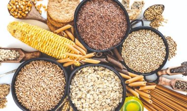 वैश्विक अनाज उत्पादन 2025-26 में बढ़कर 2.98 अरब टन रहने का अनुमान, मोटे अनाज की प्रमुख भूमिकाः यूएसडीए रिपोर्ट