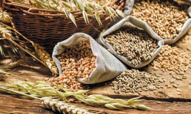 वैश्विक कृषि उत्पादनः USDA का भारत में रिकॉर्ड गेहूं और चावल उत्पादन का अनुमान