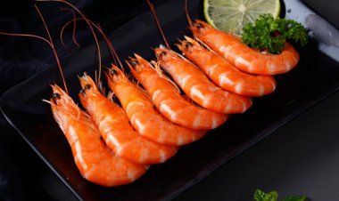 अमेरिका में भारत के श्रिंप पर 18.26% शुल्क, टैरिफ कम होने के बावजूद बाजार में अनिश्चितता