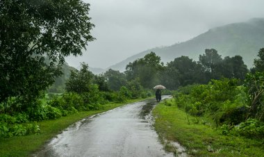 मानसून अपडेट: लगातार दूसरे साल मानसून सीजन में सामान्य से अधिक बारिश की संभावना