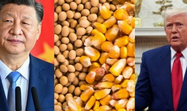 चीन की शिपिंग इंडस्ट्री पर अंकुश लगाना चाहता है अमेरिका, लेकिन इससे अमेरिकी कृषि निर्यात को खतरा