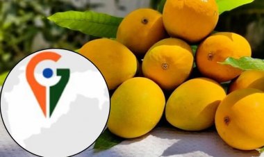 विश्व बौद्धिक संपदा दिवस: बढ़ते उपभोक्ता बाजार में जियोग्राफिकल इंडिकेशन का महत्व