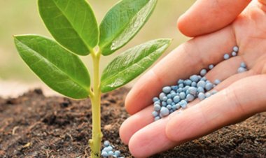 2025 में उर्वरक कीमतों में उछाल, ग्लोबल बाजार में महत्वपूर्ण खरीदार बना हुआ है भारत