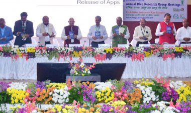 इनोवेशन और बेहतर प्रबंधन से धान की पैदावार बढ़ाएं: डॉ. आर.एस. परोदा