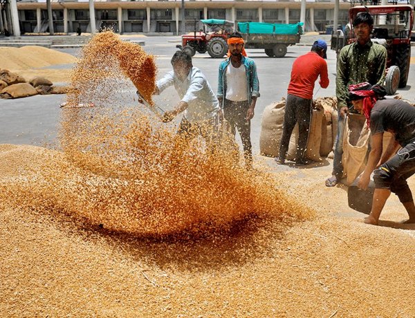 मध्य प्रदेश में 10 अप्रैल से शुरू होगी गेहूं की खरीद, छोटे किसानों को मिलेगी प्राथमिकता