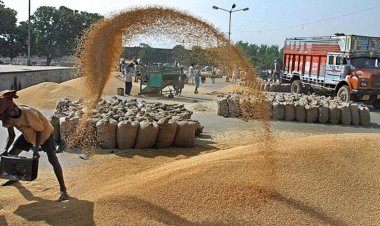 गेहूं की सरकारी खरीद 263 लाख टन तक पहुंची, कम दाम के चलते यूपी बना प्राइवेट खरीद का केंद्र