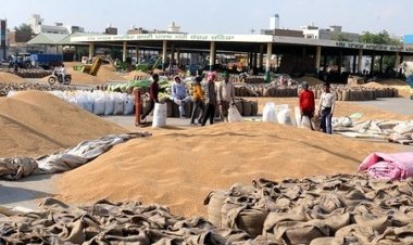 गेहूं की सरकारी खरीद 283 लाख टन पार, पिछले साल की कुल खरीद से 17 लाख टन अधिक