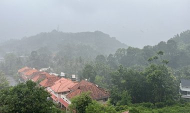 केरल पहुंचा मानसून, 2009 के बाद सबसे जल्दी आगमन: मौसम विभाग